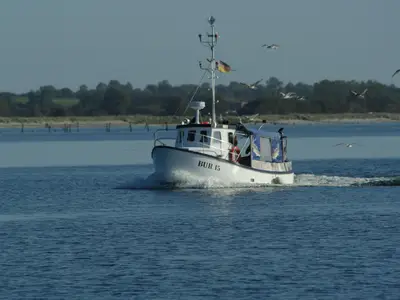 Ferienwohnung für 3 Personen (75 m²) in Fehmarn 10/10