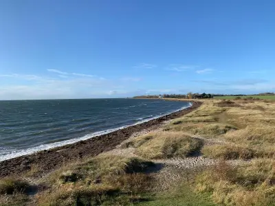 Ferienwohnung für 5 Personen (35 m²) in Fehmarn / Burg 8/10