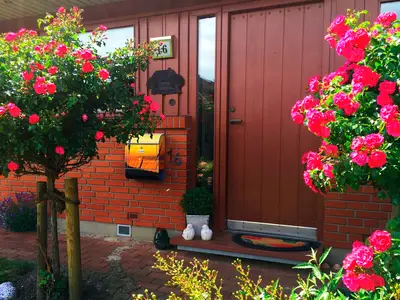 Ferienwohnung für 2 Personen (50 m²) in Fehmarn 2/10