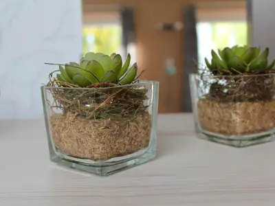 Ferienwohnung für 4 Personen (38 m²) in Fehmarn 6/10