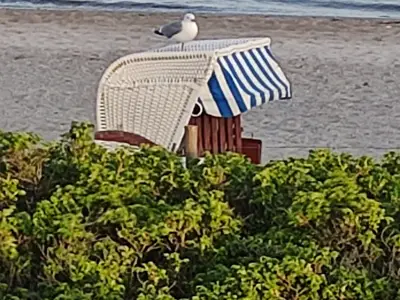 Ferienwohnung für 2 Personen (34 m²) in Fehmarn 9/10