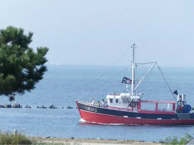 Ferienwohnung für 2 Personen (34 m²) in Fehmarn 9/10