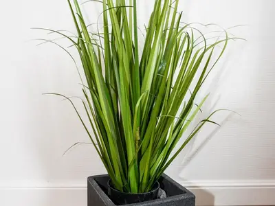 Ferienwohnung für 2 Personen (44 m²) in Fehmarn 7/10