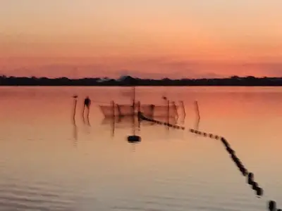 Ferienwohnung für 2 Personen (34 m²) in Fehmarn 8/10