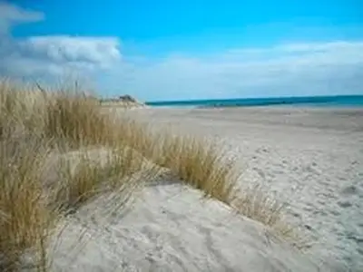 Ferienwohnung für 2 Personen (34 m²) in Fehmarn 10/10