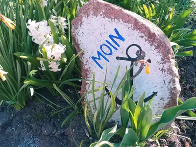 Ferienwohnung für 4 Personen (75 m²) in Fehmarn 1/10