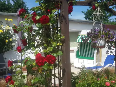 Ferienwohnung für 2 Personen (36 m²) in Fehmarn 2/10