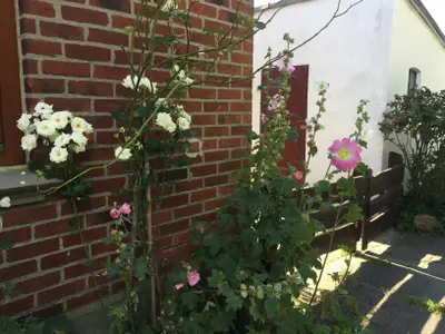 Ferienwohnung für 3 Personen (35 m²) in Fehmarn 9/10