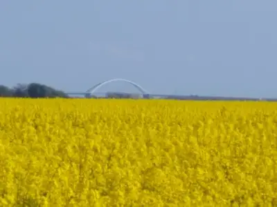 Ferienwohnung für 4 Personen (63 m²) in Fehmarn / Gollendorf 9/9
