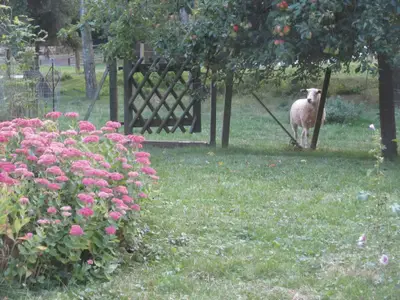 Ferienwohnung für 5 Personen (122 m²) in Fehmarn 10/10