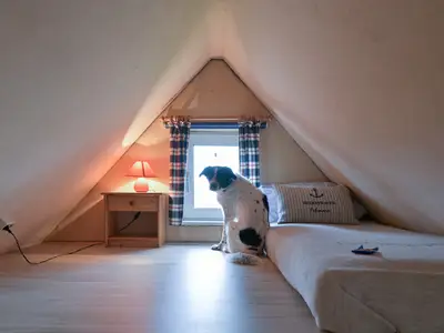 Ferienwohnung für 3 Personen (45 m²) in Fehmarn 9/10