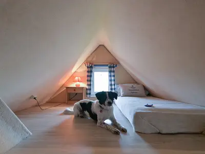 Ferienwohnung für 3 Personen (45 m²) in Fehmarn 10/10