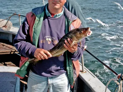 Ferienwohnung für 4 Personen (70 m²) in Fehmarn 8/10