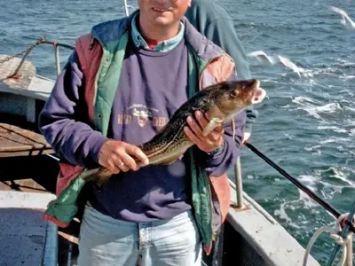 Ferienwohnung für 2 Personen (35 m²) in Fehmarn 7/9