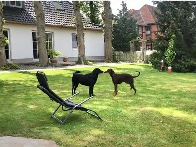 Ferienwohnung für 2 Personen (45 m²) in Fehmarn / Kopendorf 10/10