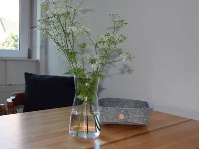 Ferienwohnung für 5 Personen (62 m²) in Fehmarn / Landkirchen 3/10