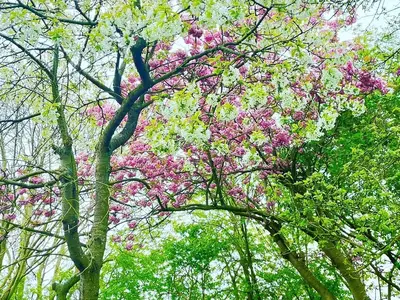 Ferienwohnung für 4 Personen (64 m²) in Fehmarn / Lemkenhafen 5/10