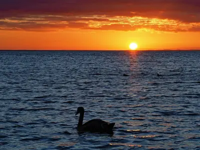Ferienwohnung für 4 Personen (50 m²) in Fehmarn / Lemkenhafen 9/9