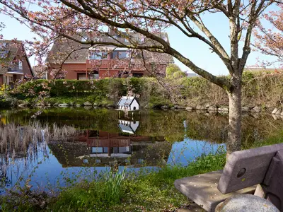 Ferienwohnung für 2 Personen (40 m²) in Fehmarn 1/10