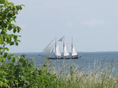 Ferienwohnung für 4 Personen (50 m²) in Fehmarn 1/10