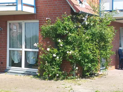 Ferienwohnung für 4 Personen (60 m²) in Fehmarn 9/9