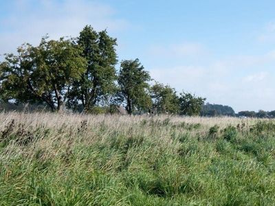 Ferienwohnung für 6 Personen (80 m²) in Fehmarn / Petersdorf 2/10