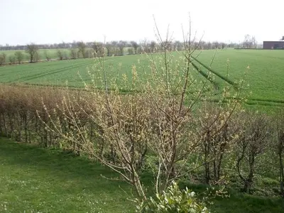 Ferienwohnung für 5 Personen (56 m²) in Fehmarn 2/10