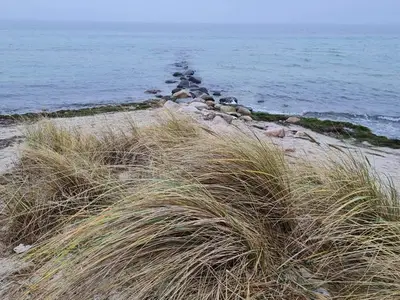 Ferienwohnung für 5 Personen (70 m²) in Fehmarn 4/10