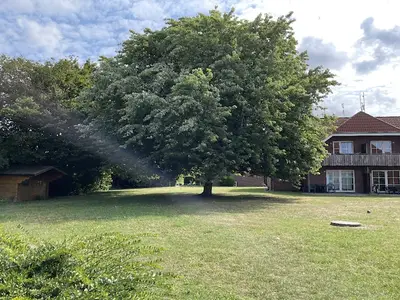 ExteriorSummer