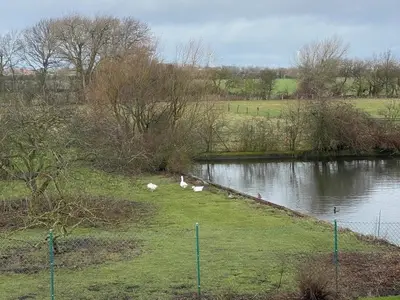 Ferienwohnung für 4 Personen (55 m²) in Fehmarn / Petersdorf 9/9