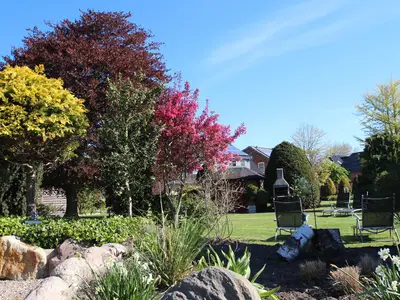 Ferienwohnung für 4 Personen (52 m²) in Fehmarn 10/10