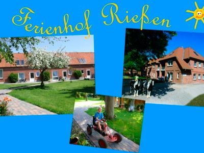 Ferienwohnung für 4 Personen (55 m²) in Fehmarn / Presen 2/10