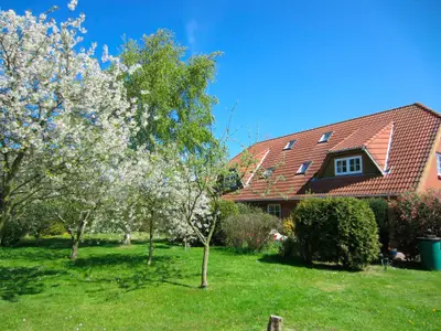 Ferienwohnung für 4 Personen (60 m²) in Fehmarn 1/10