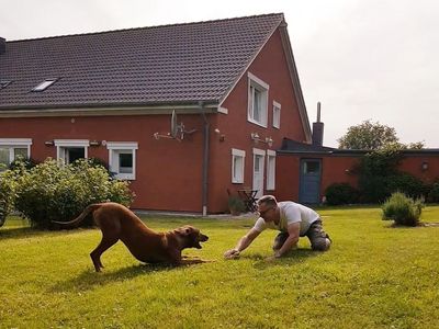 Ferienwohnung für 2 Personen (25 m²) in Fehmarn / Sahrensdorf 9/10