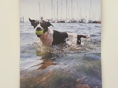 Ferienwohnung für 2 Personen (40 m²) in Fehmarn 9/10