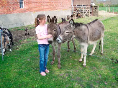 Ferienwohnung für 2 Personen (35 m²) in Fehmarn 10/10