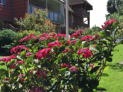 Ferienwohnung für 4 Personen (57 m²) in Fehmarn / Staberdorf 7/10