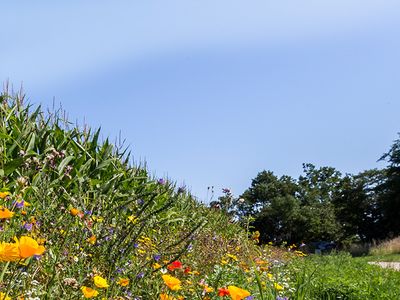 Ferienwohnung für 4 Personen (65 m²) in Fehmarn / Staberdorf 7/10