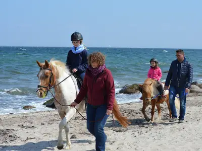 Ferienwohnung für 4 Personen (62 m²) in Fehmarn 9/10