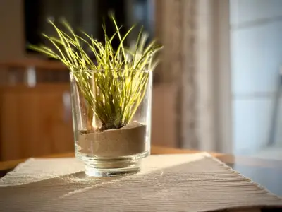 Ferienwohnung für 4 Personen (57 m²) in Fehmarn 10/10