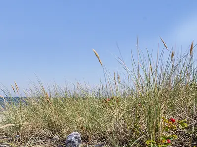 Ferienwohnung für 4 Personen (65 m²) in Fehmarn 10/10