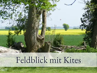 Ferienwohnung für 4 Personen (64 m²) in Fehmarn 10/10