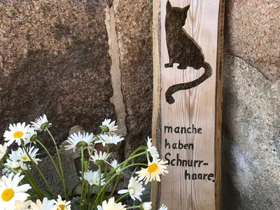 Ferienwohnung für 3 Personen (45 m²) in Fehmarn 3/10