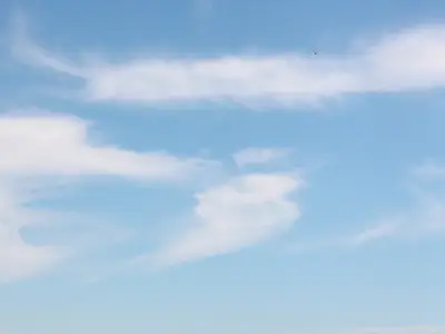 Ferienwohnung für 4 Personen (60 m²) in Fehmarn 8/10