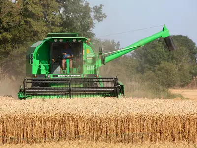 Ferienwohnung für 4 Personen (60 m²) in Fehmarn 10/10