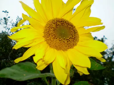 Ferienwohnung für 4 Personen (60 m²) in Fehmarn 5/10