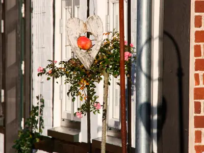 Ferienwohnung für 4 Personen (60 m²) in Fehmarn 8/10