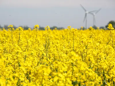 Ferienwohnung für 4 Personen (50 m²) in Fehmarn 4/10