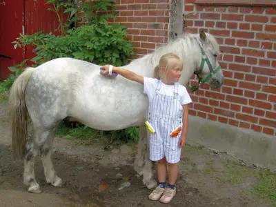 Ferienwohnung für 4 Personen (55 m²) in Fehmarn 6/10