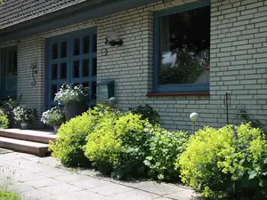 Ferienwohnung für 2 Personen (47 m²) in Fehmarn
